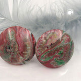 Clip, 30mm, rot-grün-weiß