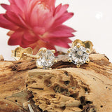Stecker 5mm Zirkonia 9Kt GOLD