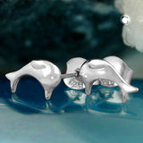 Stecker 8x5mm Delfin glänzend rhodiniert Silber 925